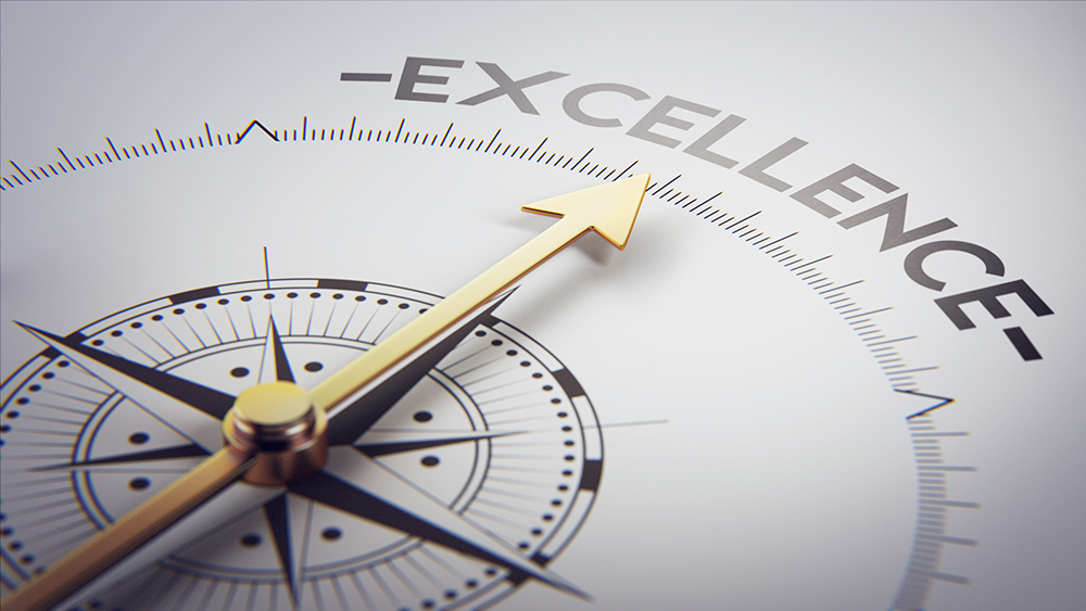 Service Excellence – begeisternde Servicedienstleistungen  mit Strategie und Leidenschaft
