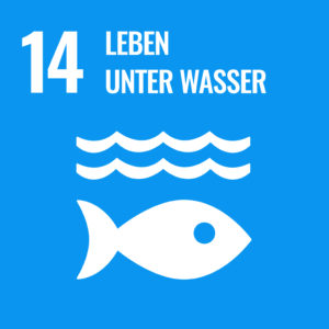 Ziele für Nachhaltige Entwicklung - 14 Leben unter Wasser