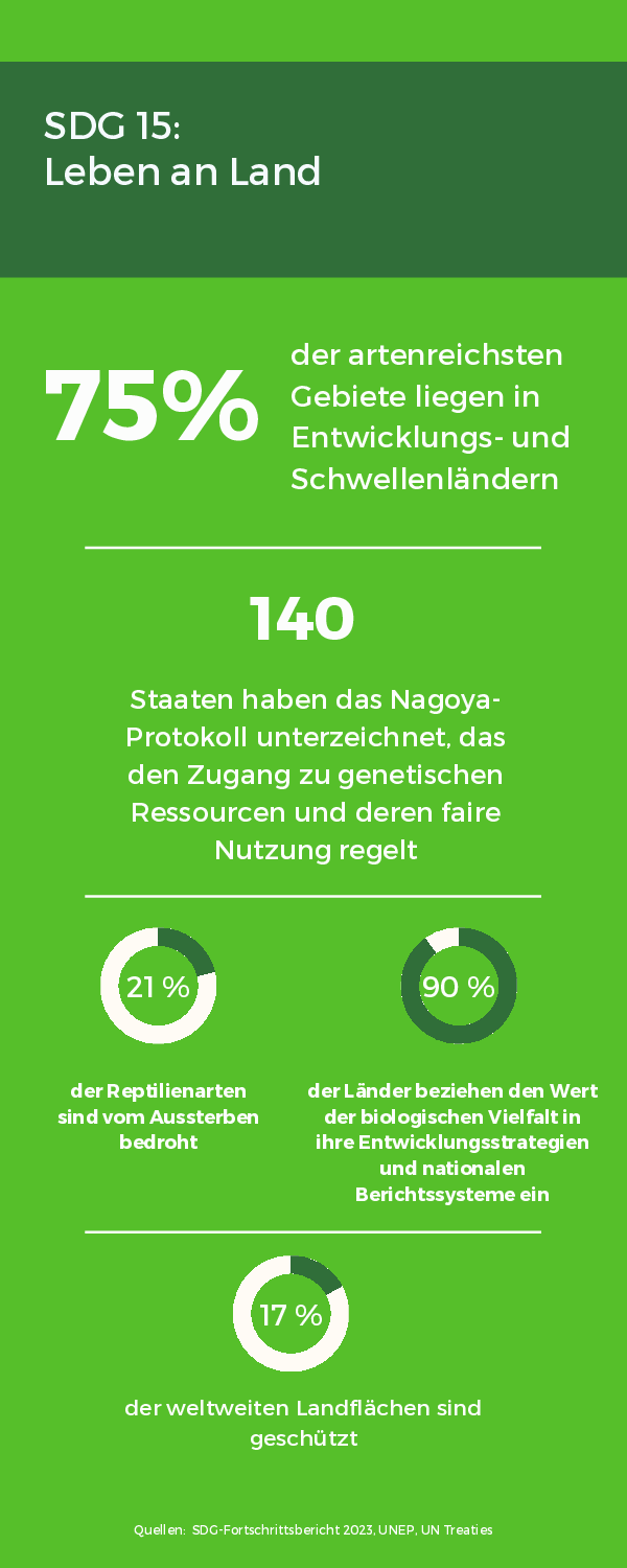 SDG15 Leben an Land Zahlen & Fakten